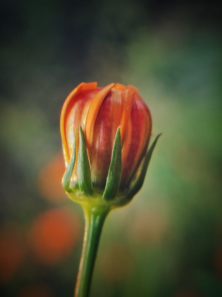 Photograph by Meilany Wijaya