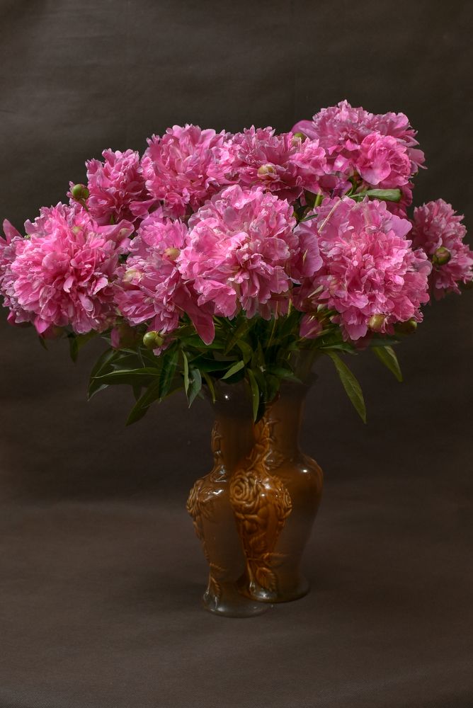 Photograph by Полина Мишина