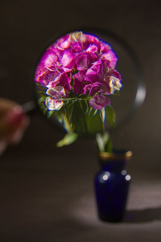 Photograph by Полина Мишина