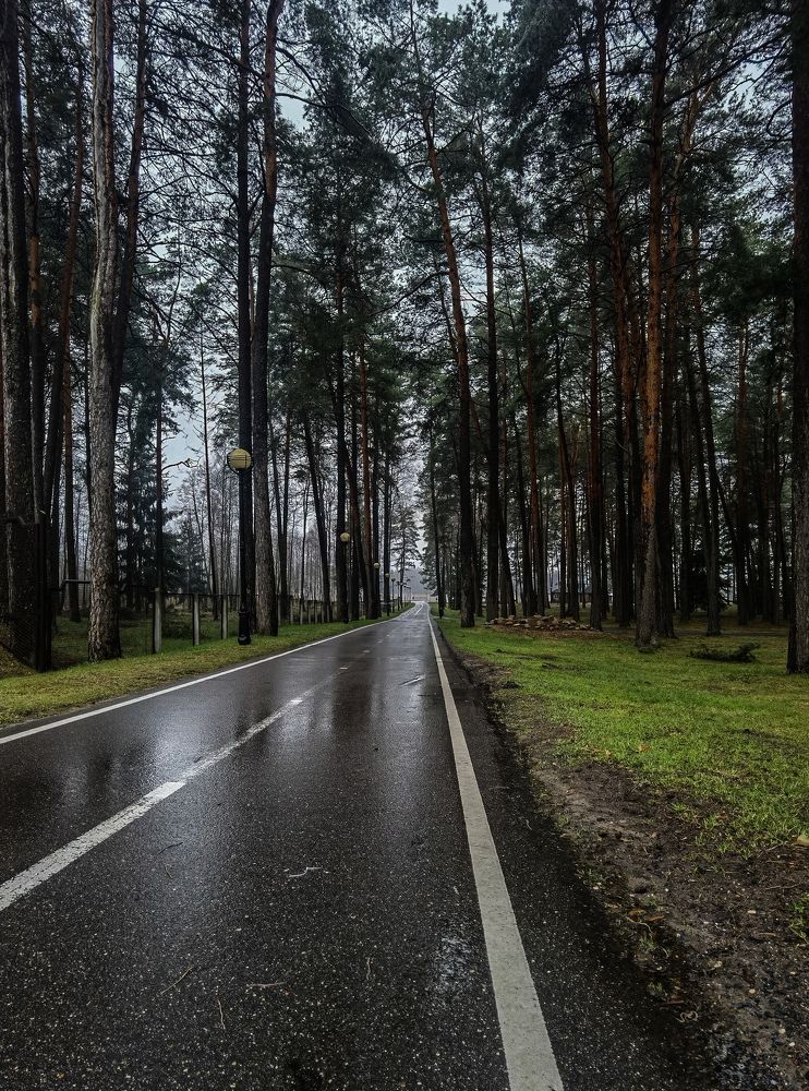 Photograph by Владимир Орлов