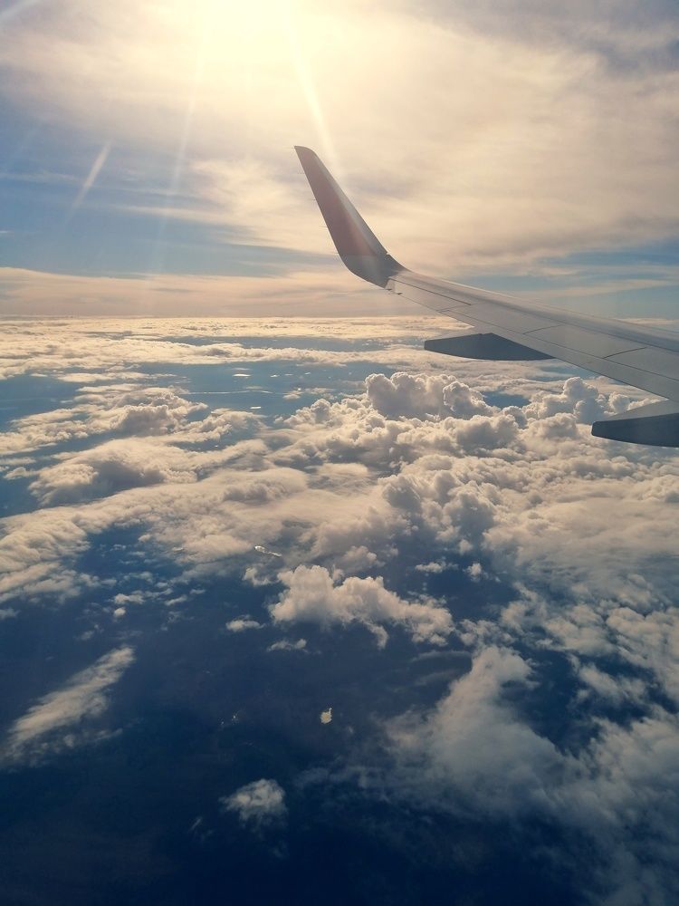 Photograph by Светлана Фокина