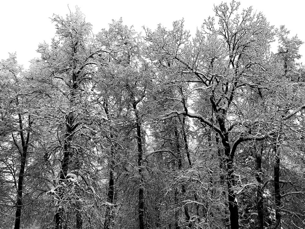 Фотография автора Мария Коледа