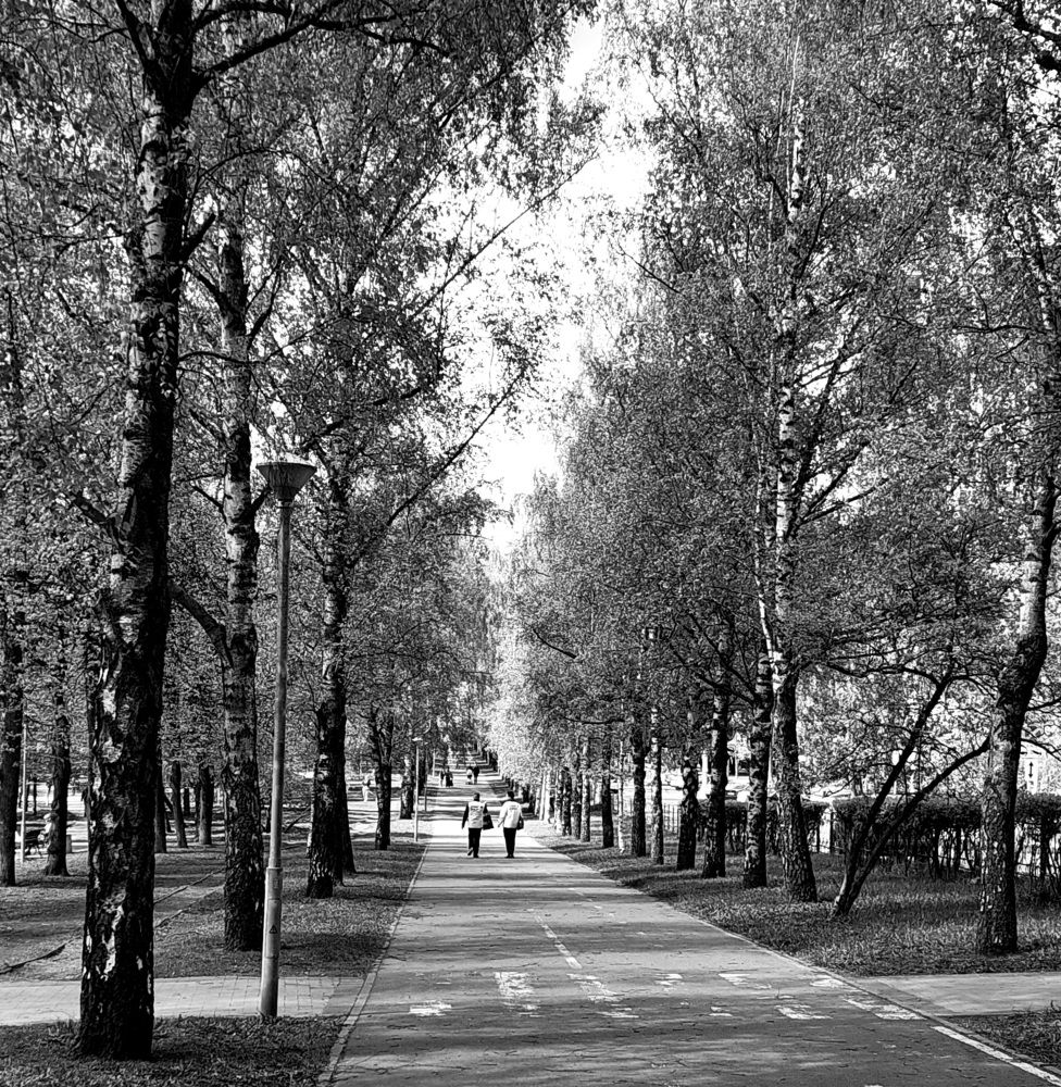 Фотография автора Мария Коледа