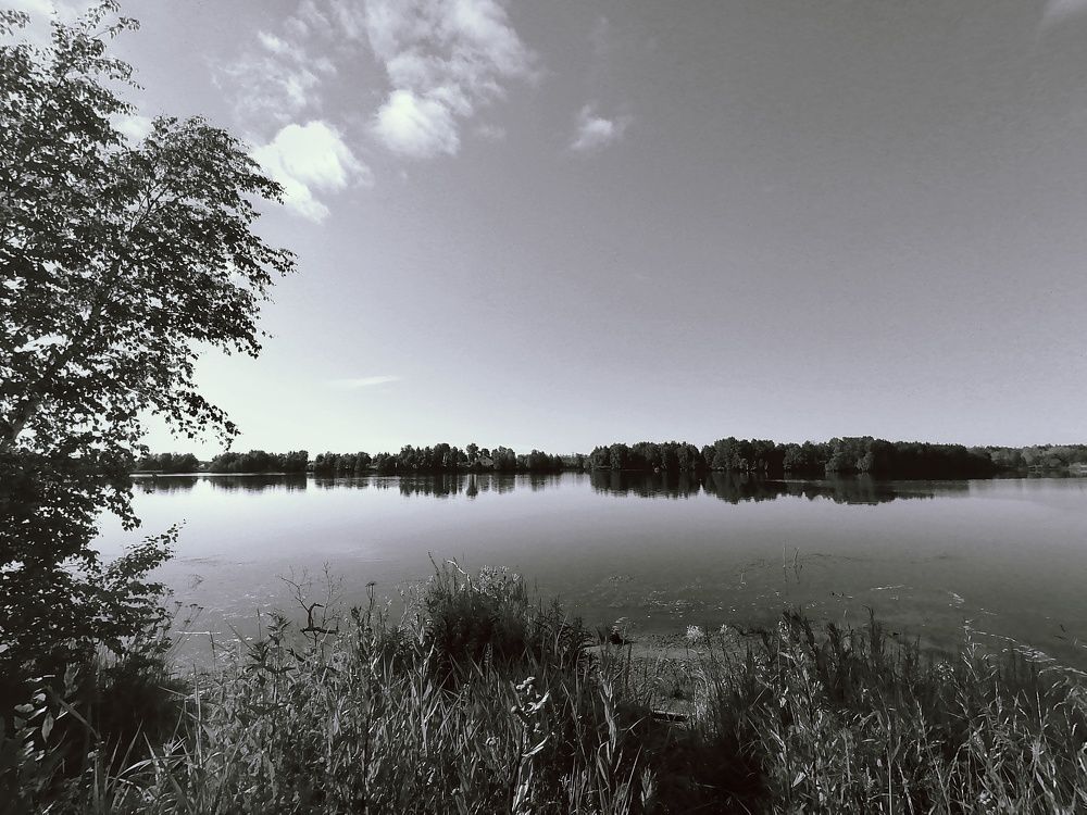 Photograph by Светлана Фокина