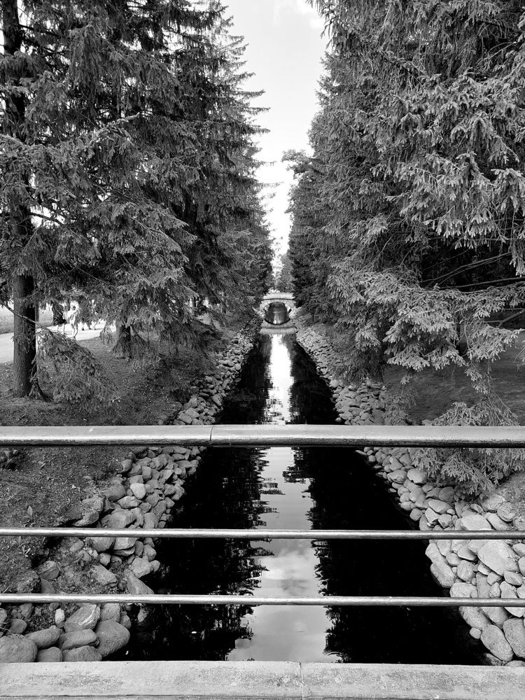 Photo #7793962