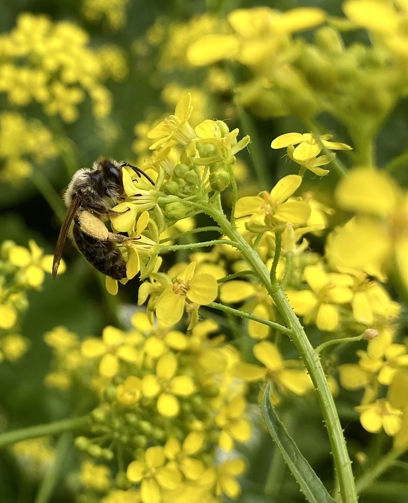 Photograph by Екатерина Екатерина