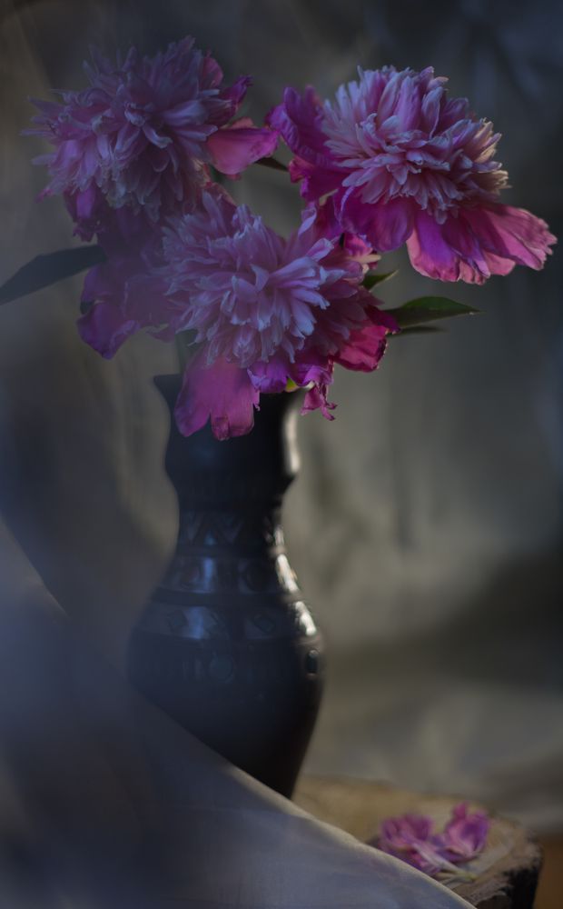 Photograph by Людмила Сливкина