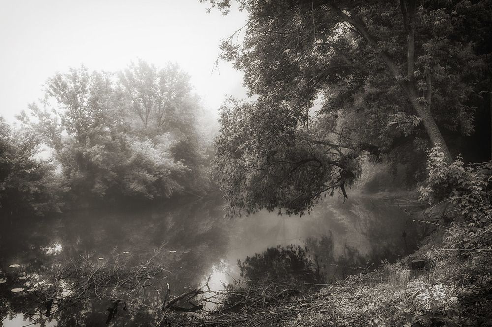 Photograph by Сергей Епишев