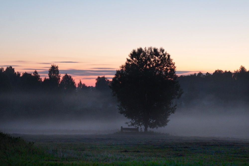 Photograph by Инна Карасева