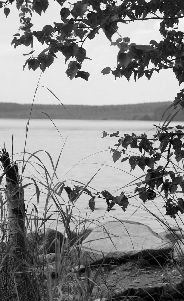 Photograph by Юлия Майкова