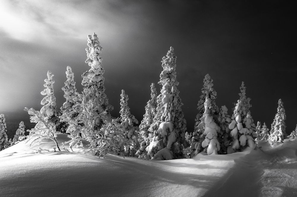 Photograph by Бирюкова Татьяна