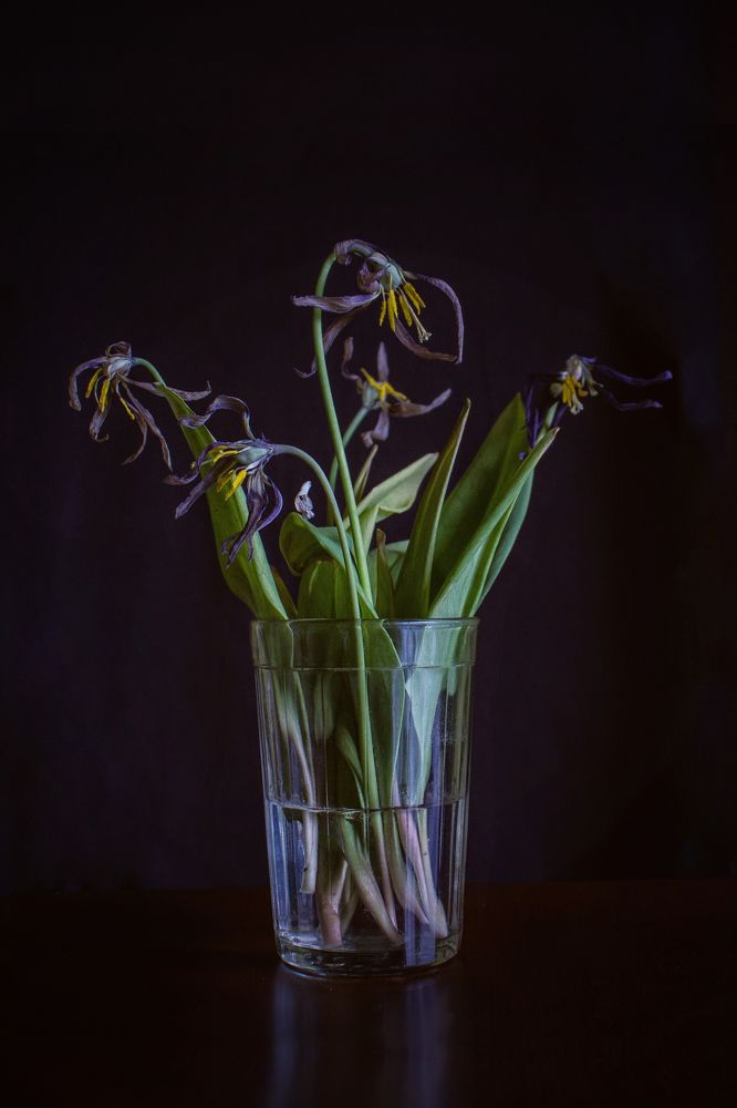 Photograph by Анна Гейнц