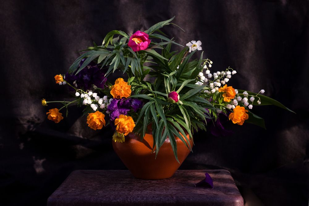 Photograph by Анна Гейнц