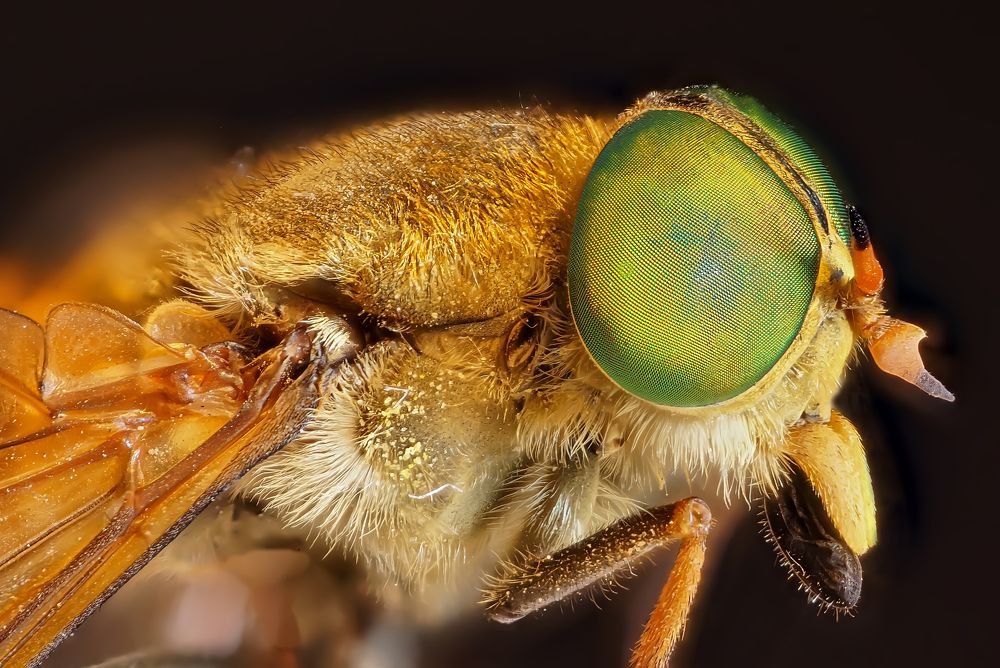 Photograph by Сергей Прокофьев