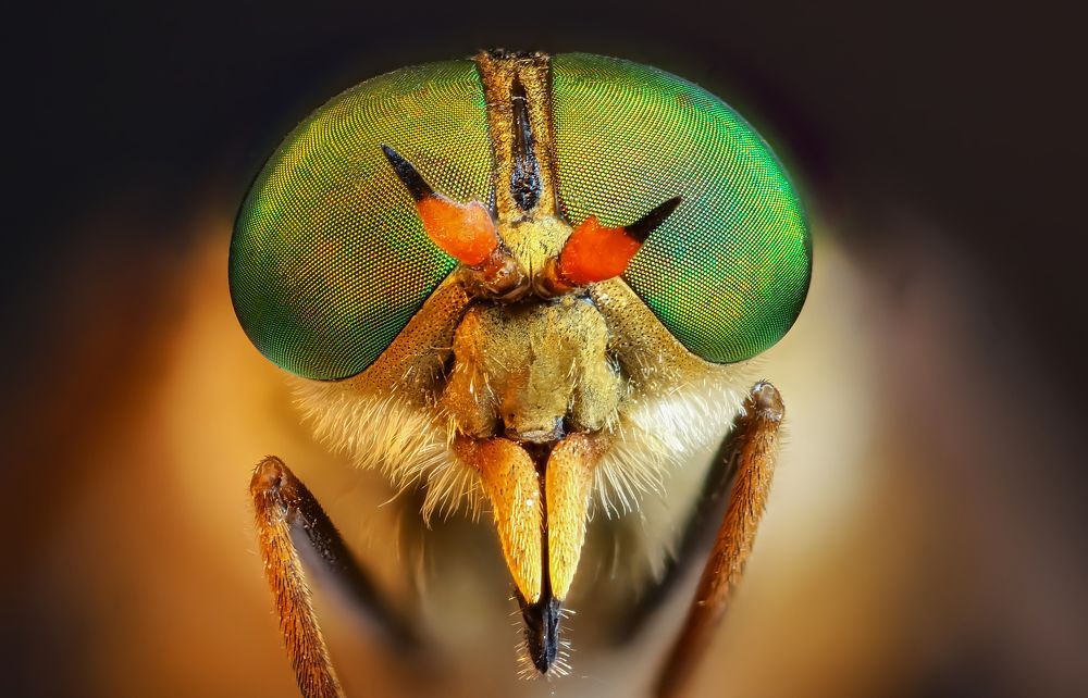 Photograph by Сергей Прокофьев