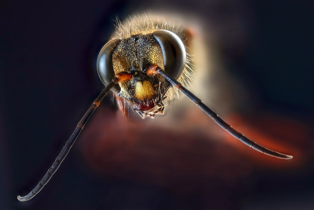 Photograph by Сергей Прокофьев