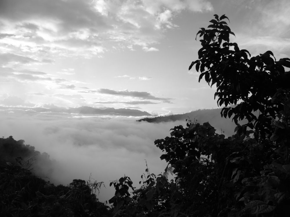 Bruma en los Andes del norte