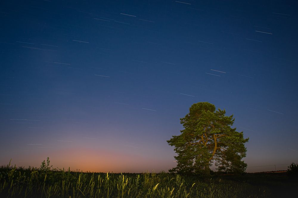 Photograph by Денис Кошиль