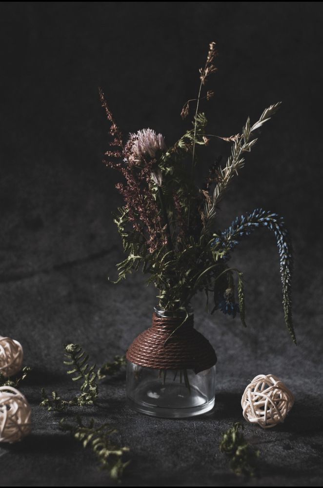 Photograph by Дарья