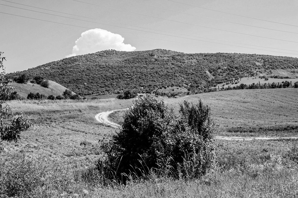 Photograph by Оксана Сафина