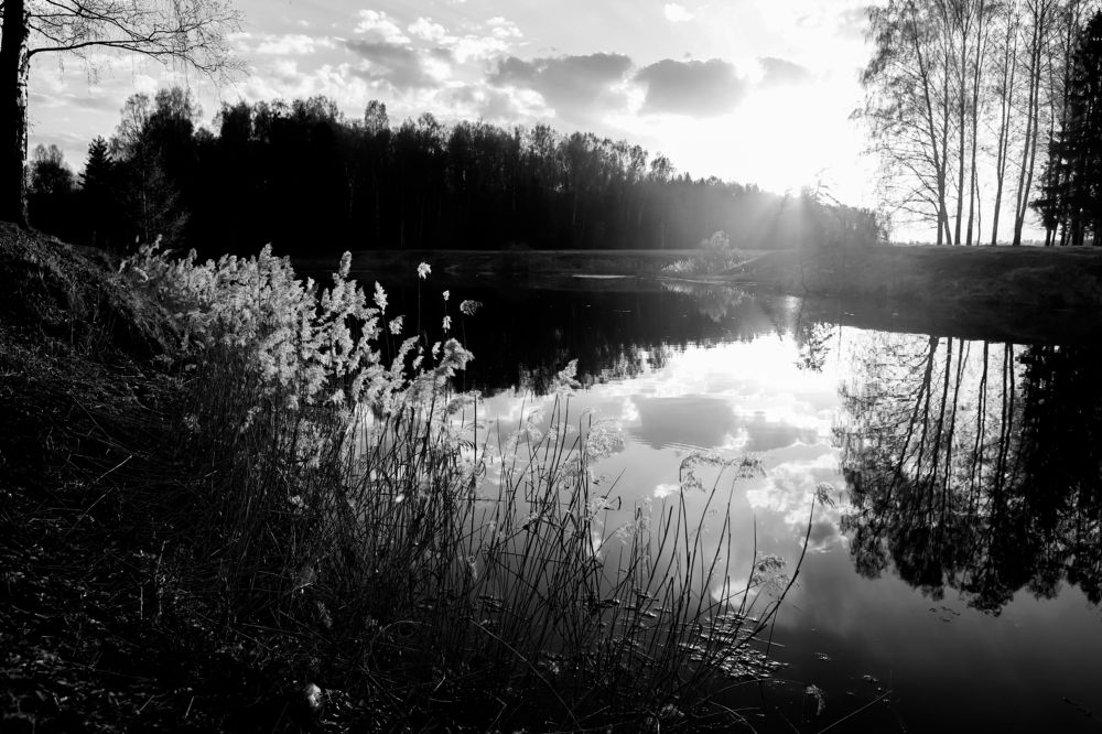 Photograph by Юлия Степанская