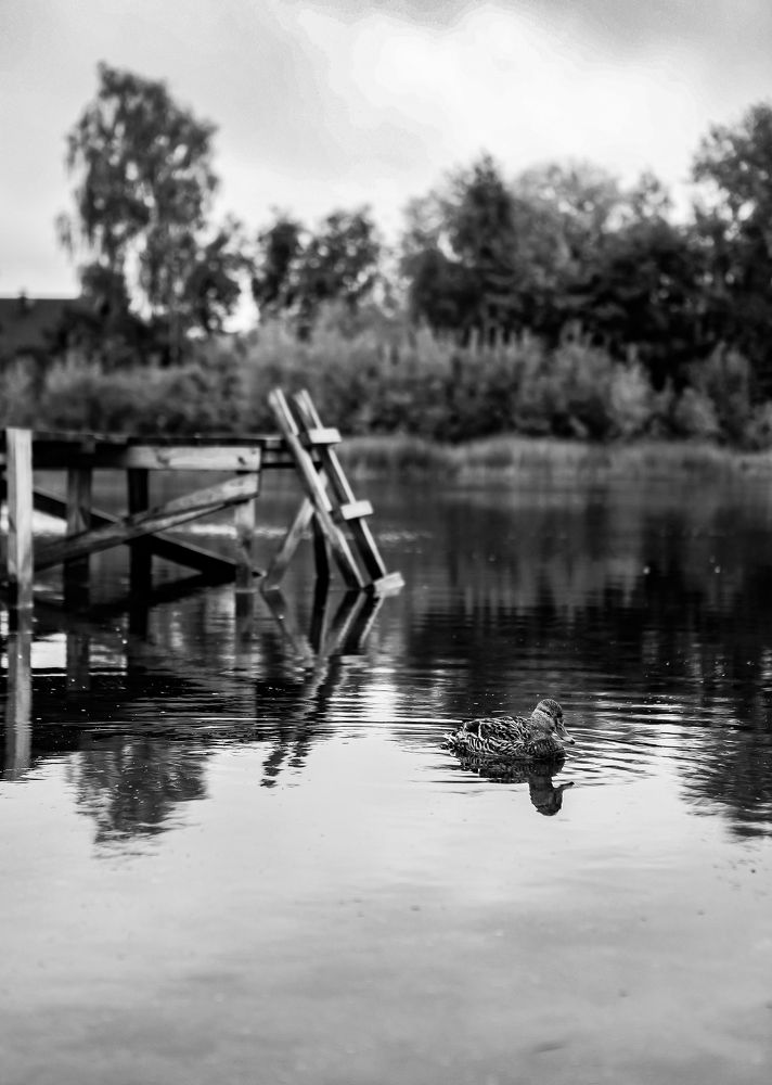 Photograph by Юлия Степанская