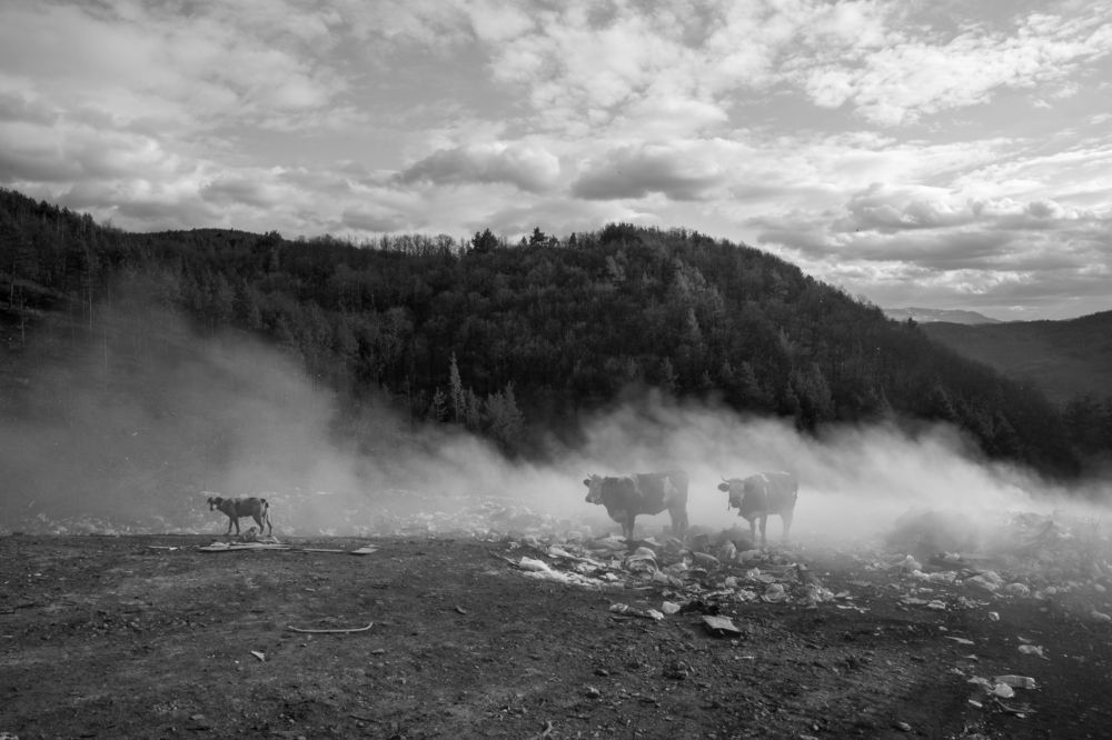 Photograph by  Dimitar