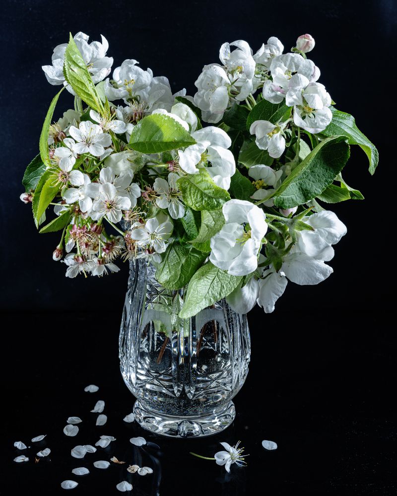 Photograph by Aleksandr Belov