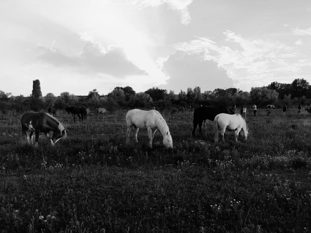 Photograph by Жигульский Сергей