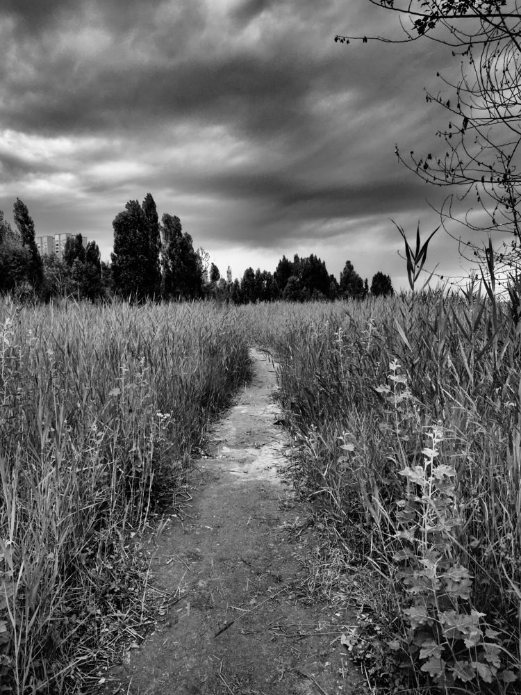 Photograph by Сергей Пермин