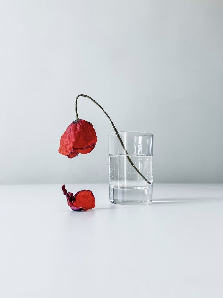 Photograph by Ольга Глазунова