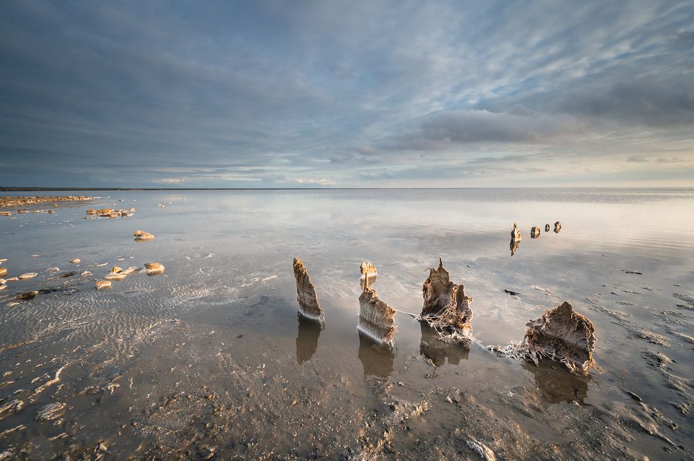 Photograph by Олег Бабурин