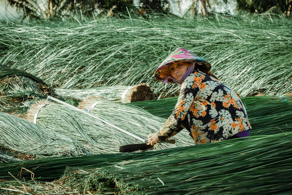 Photograph by Van Nguyen