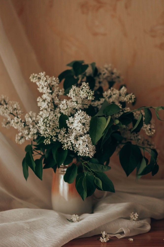 Photograph by Анастасия Макеева