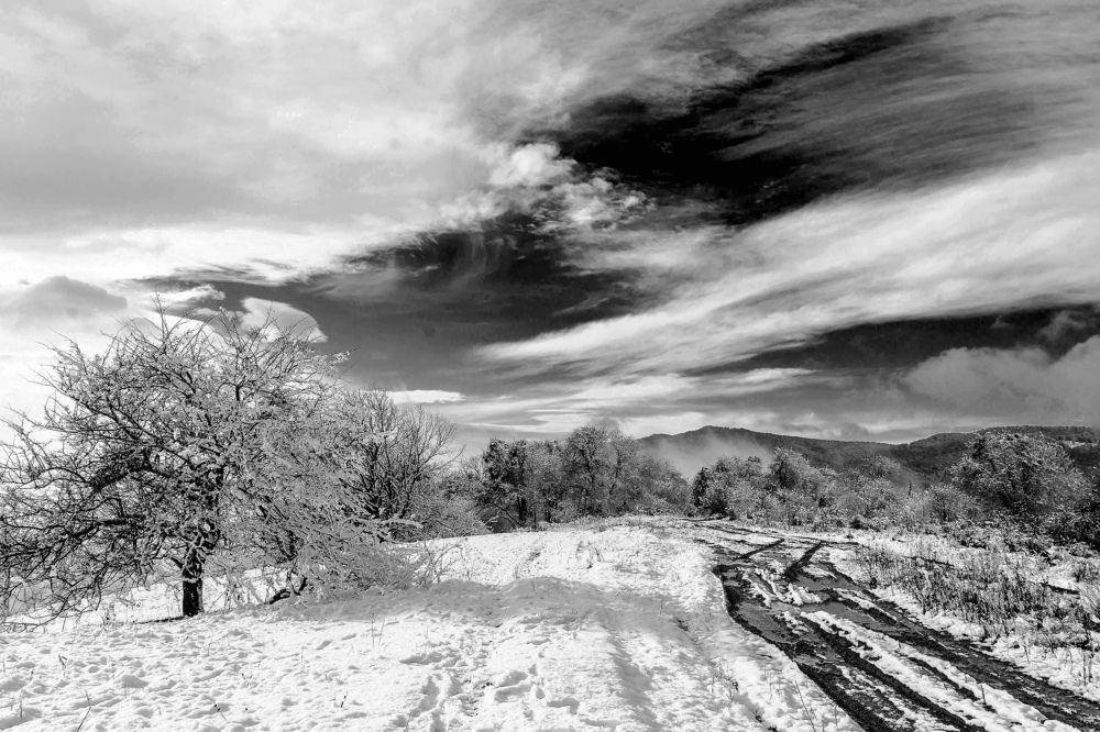 Photograph by Олеся