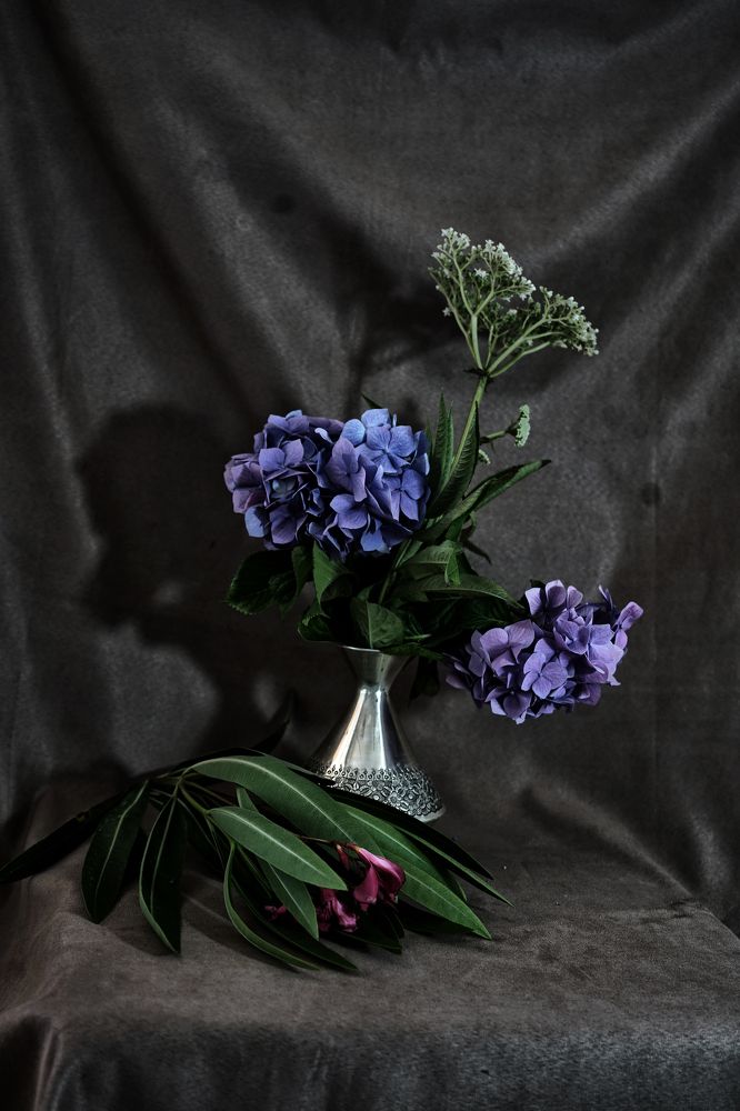 Photograph by Muzaffer Sütlüoğlu