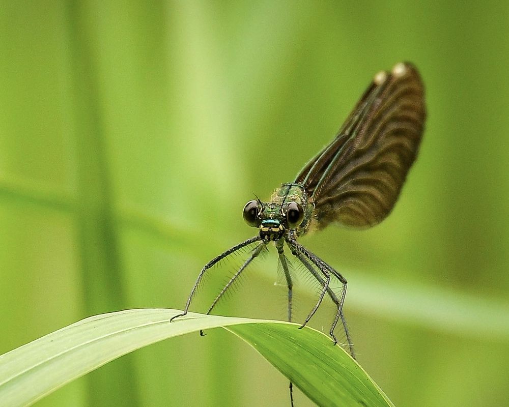 Photograph by Олег Волков