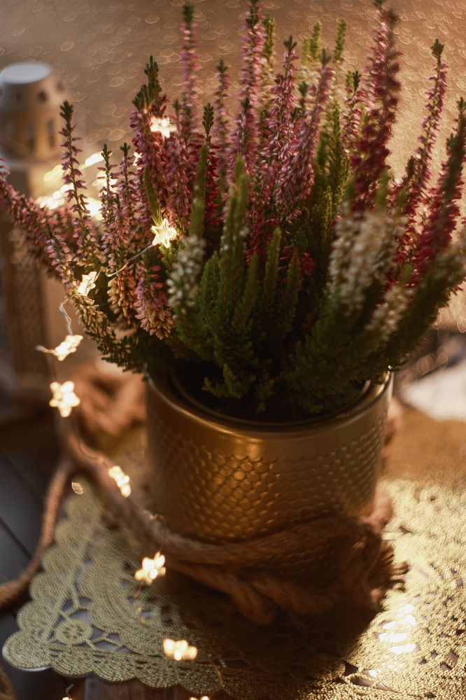 Photograph by Tatiana Kurilas