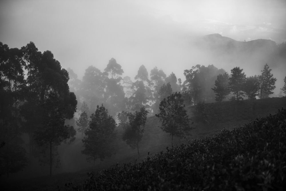 Photograph by Руслан Лумпов