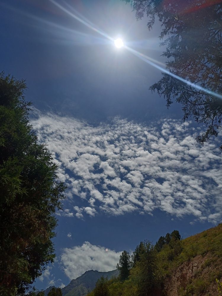 Photograph by Ekaterina