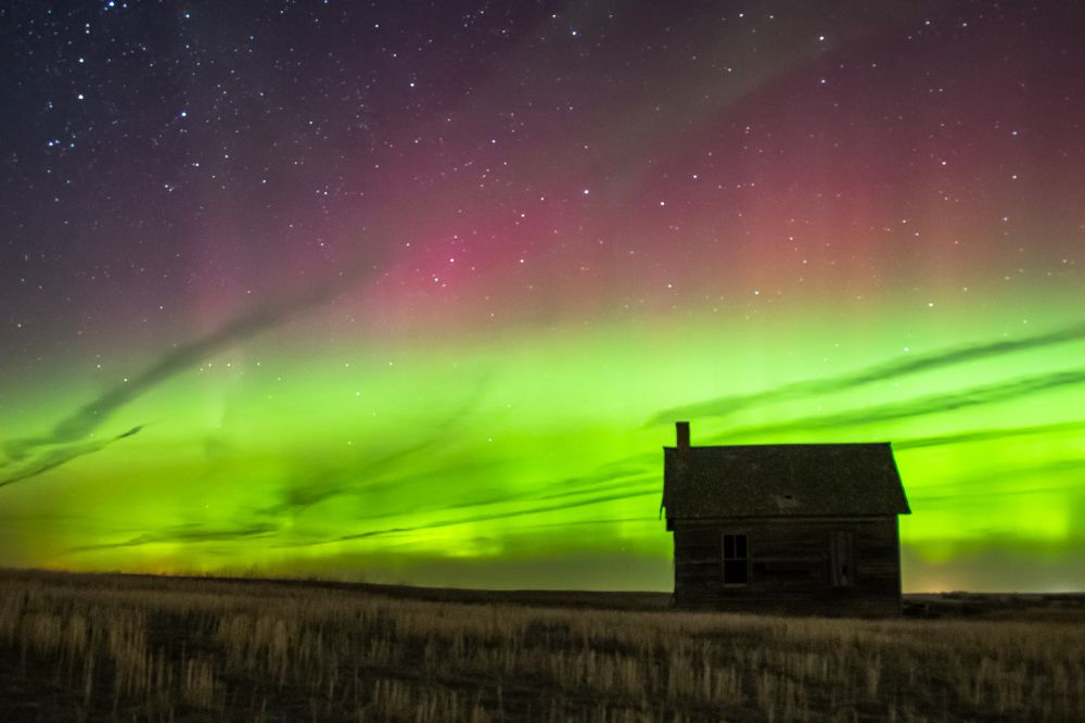 Photograph by Tony Douzenis