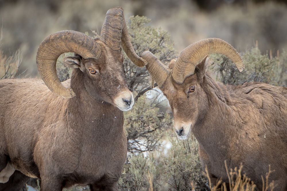 Photograph by Tony Douzenis