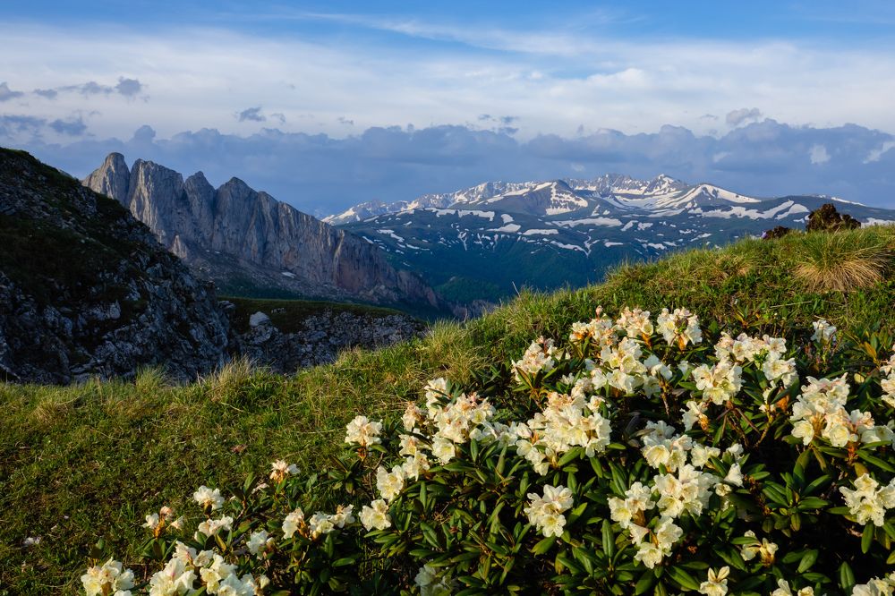 Photograph by Константин Шишкалов