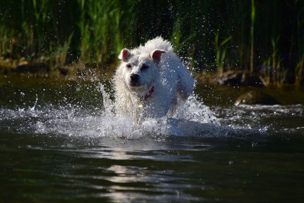 Photograph by Светлана