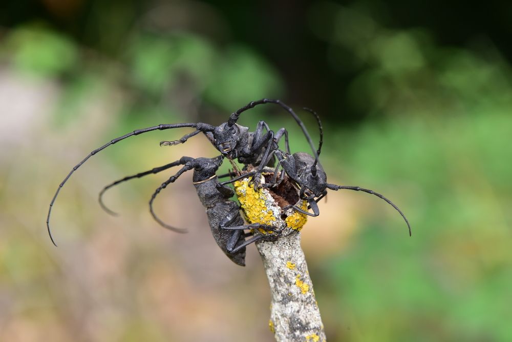 Photograph by Светлана