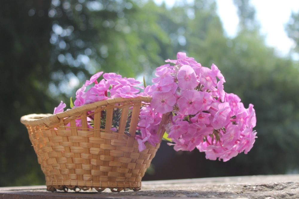 Photograph by Алсу Хусаинова