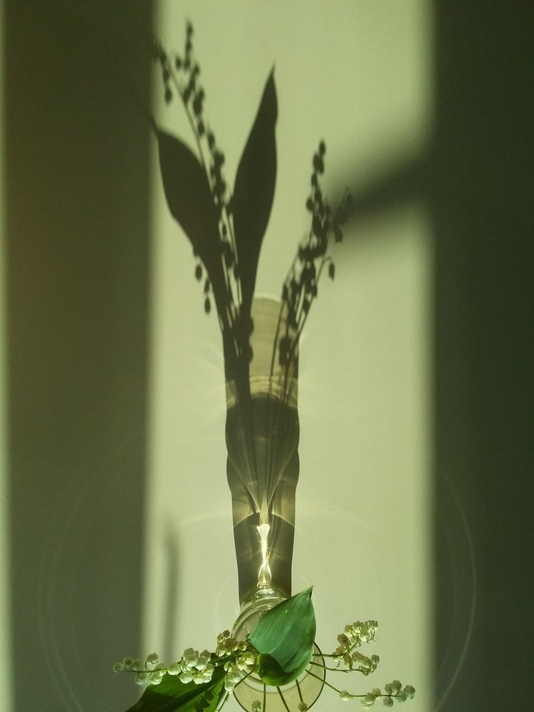 Photograph by Анастасия Кичигина