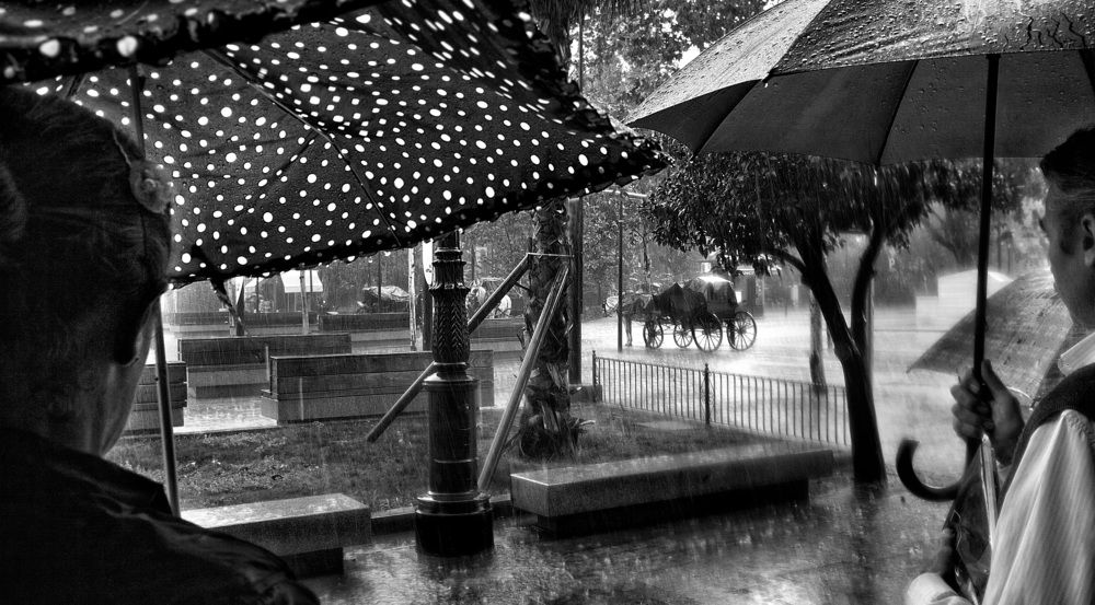 Photograph by Ilya Spektor