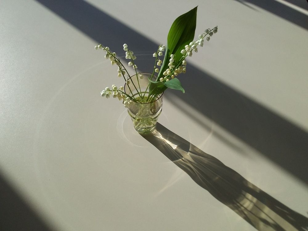 Photograph by Анастасия Кичигина