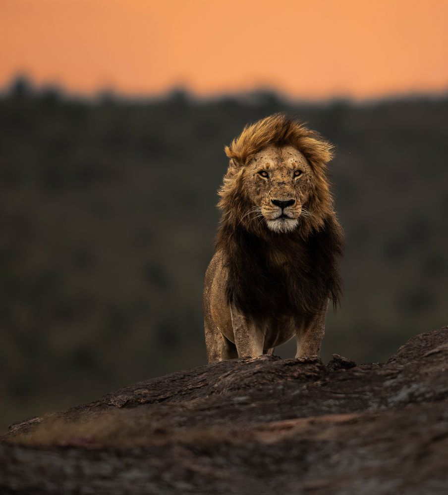 Фотография автора Rajharsha Narayanswamy